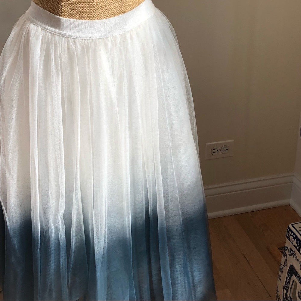Tye due fade tutu skirt for adults
